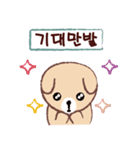 Cute puppy Mong Mong(KR)（個別スタンプ：3）