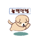 Cute puppy Mong Mong(KR)（個別スタンプ：13）