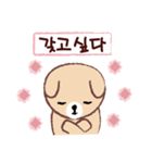 Cute puppy Mong Mong(KR)（個別スタンプ：14）