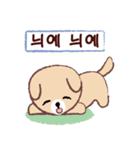 Cute puppy Mong Mong(KR)（個別スタンプ：19）