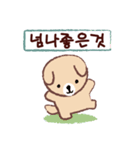 Cute puppy Mong Mong(KR)（個別スタンプ：21）