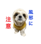 COCOSTYLELOVE3（個別スタンプ：2）