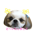 COCOSTYLELOVE3（個別スタンプ：3）