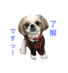 COCOSTYLELOVE3（個別スタンプ：4）
