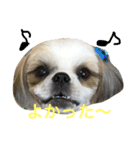 COCOSTYLELOVE3（個別スタンプ：5）