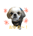 COCOSTYLELOVE3（個別スタンプ：6）