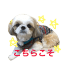 COCOSTYLELOVE3（個別スタンプ：8）