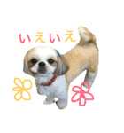 COCOSTYLELOVE3（個別スタンプ：10）