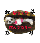 COCOSTYLELOVE3（個別スタンプ：14）