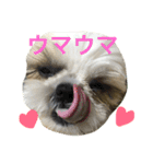 COCOSTYLELOVE3（個別スタンプ：15）