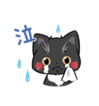 マンチカンの「ふく」（個別スタンプ：20）