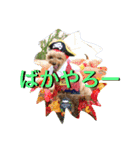 ガウガウ犬もも 其のニ（個別スタンプ：1）