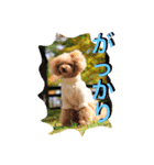 ガウガウ犬もも 其のニ（個別スタンプ：18）