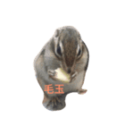 ijyuin---（個別スタンプ：2）