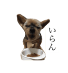 はるまりん（個別スタンプ：14）
