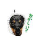 ミニピンとまと＆ぽてと その2（個別スタンプ：14）
