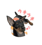 ミニピンとまと＆ぽてと その2（個別スタンプ：18）