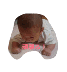 はる坊の挨拶（個別スタンプ：5）
