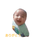 はる坊の挨拶（個別スタンプ：11）