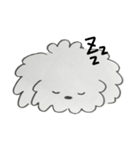 トイプードル 黒ちゃん（個別スタンプ：2）