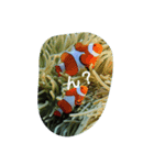 海の仲間（個別スタンプ：2）