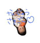 sakimelody2（個別スタンプ：3）