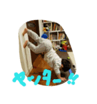 私達の孫達（個別スタンプ：11）