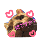 ニャンダフルらいふ（個別スタンプ：1）