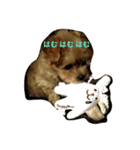 子犬のくるみちゃん☆その1（個別スタンプ：2）