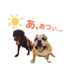 チョコラブ チョコちゃん第2弾（個別スタンプ：11）