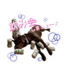 チョコラブ チョコちゃん第2弾（個別スタンプ：28）