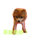 lovely Bubu（個別スタンプ：1）