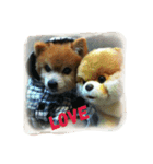 lovely Bubu（個別スタンプ：5）