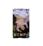 kimusato（個別スタンプ：3）