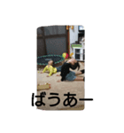 kimusato（個別スタンプ：7）