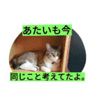 ヤマノスタンプ（個別スタンプ：8）