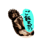 yashiro's stamp（個別スタンプ：2）