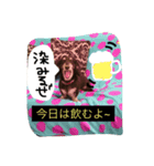 yashiro's stamp（個別スタンプ：3）