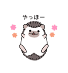 ハリネズミのよく使うスタンプ（個別スタンプ：1）