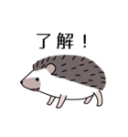 ハリネズミのよく使うスタンプ（個別スタンプ：5）