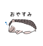ハリネズミのよく使うスタンプ（個別スタンプ：9）