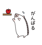 ハリネズミのよく使うスタンプ（個別スタンプ：15）
