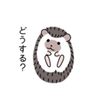 ハリネズミのよく使うスタンプ（個別スタンプ：20）