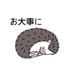 ハリネズミのよく使うスタンプ（個別スタンプ：23）