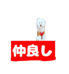 くぅたんです。宜しくお願いします。（個別スタンプ：3）