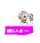 くぅたんです。宜しくお願いします。（個別スタンプ：5）