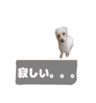 くぅたんです。宜しくお願いします。（個別スタンプ：6）
