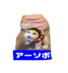 くぅたんです。宜しくお願いします。（個別スタンプ：7）
