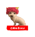 くぅたんです。宜しくお願いします。（個別スタンプ：11）