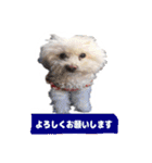 くぅたんです。宜しくお願いします。（個別スタンプ：14）